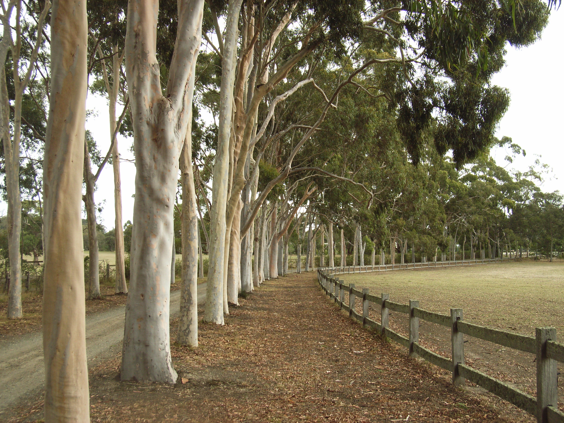 Victoria Australian Garden History Society