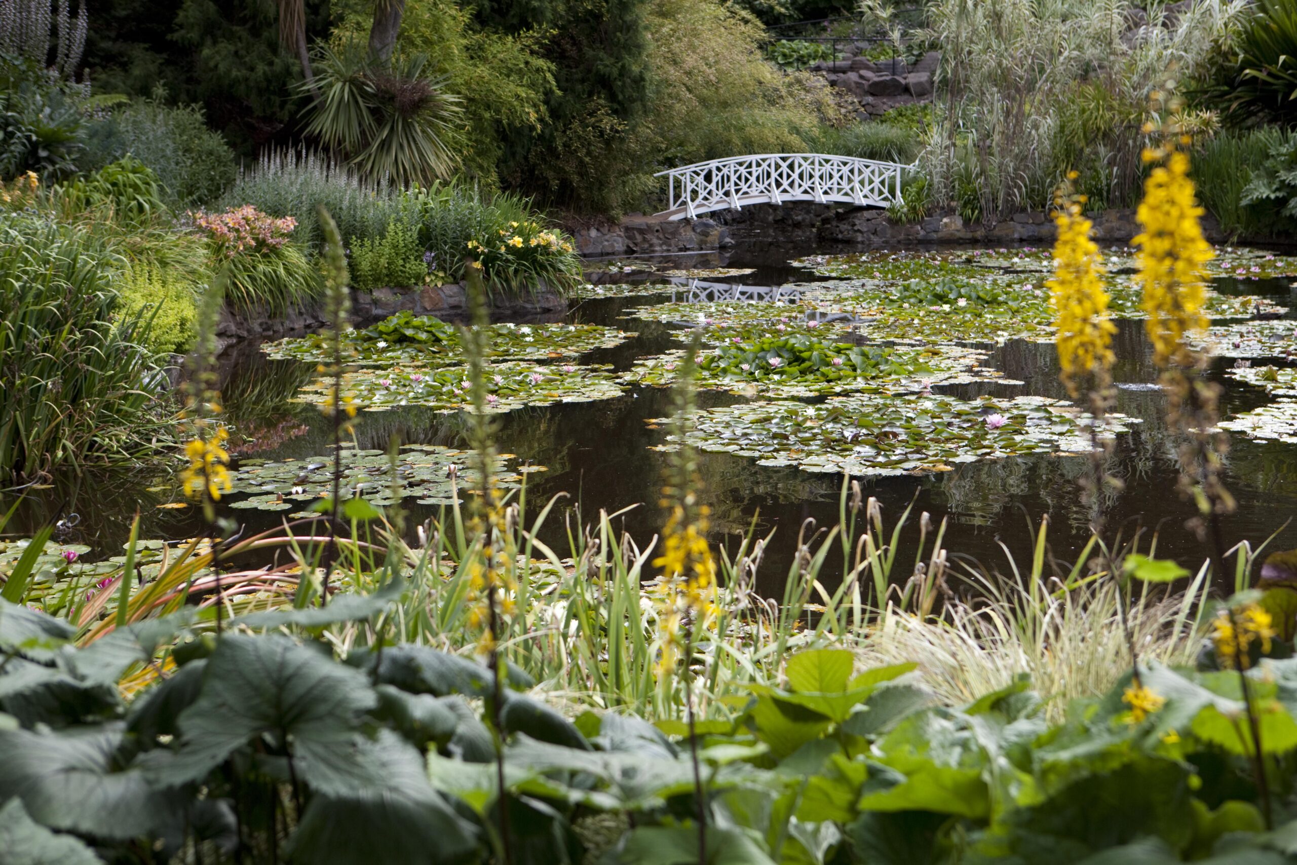 Hobart Botanic Gardens