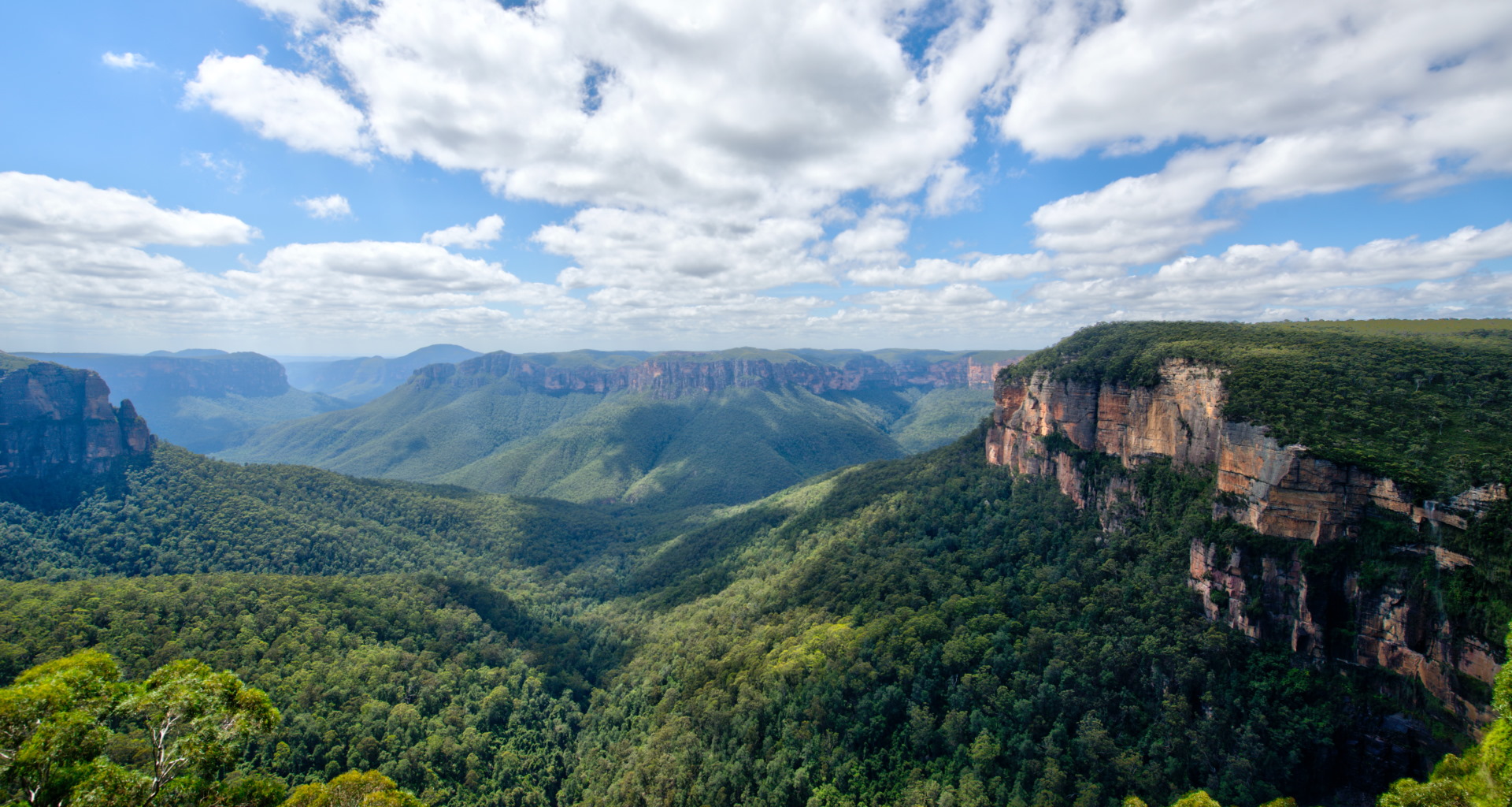 Blue Mountains Photo by Jacques Bopp on Unsplash