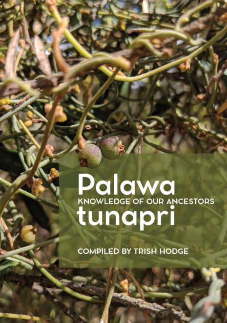 Palawa Tunapri Trish Hodge cover