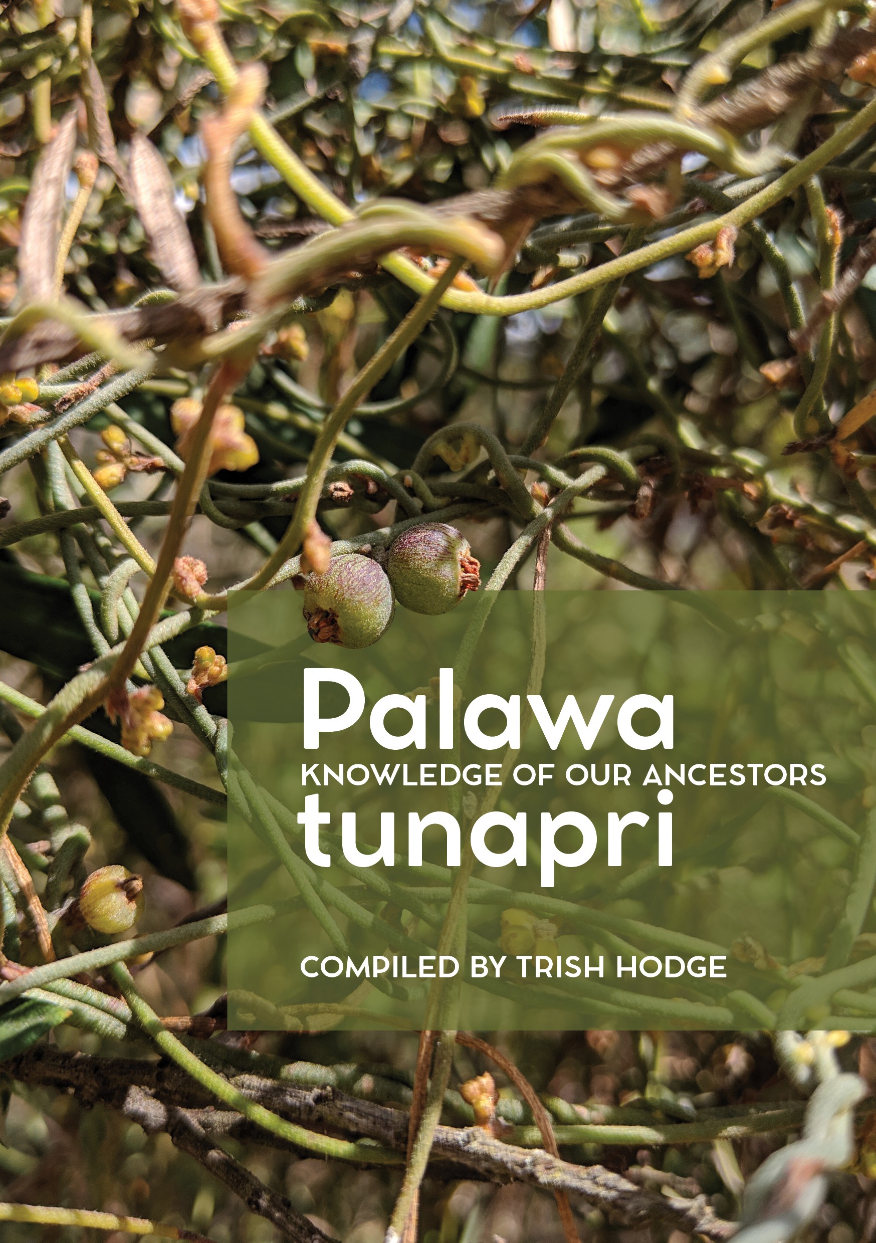 Palawa Tunapri Trish Hodge cover